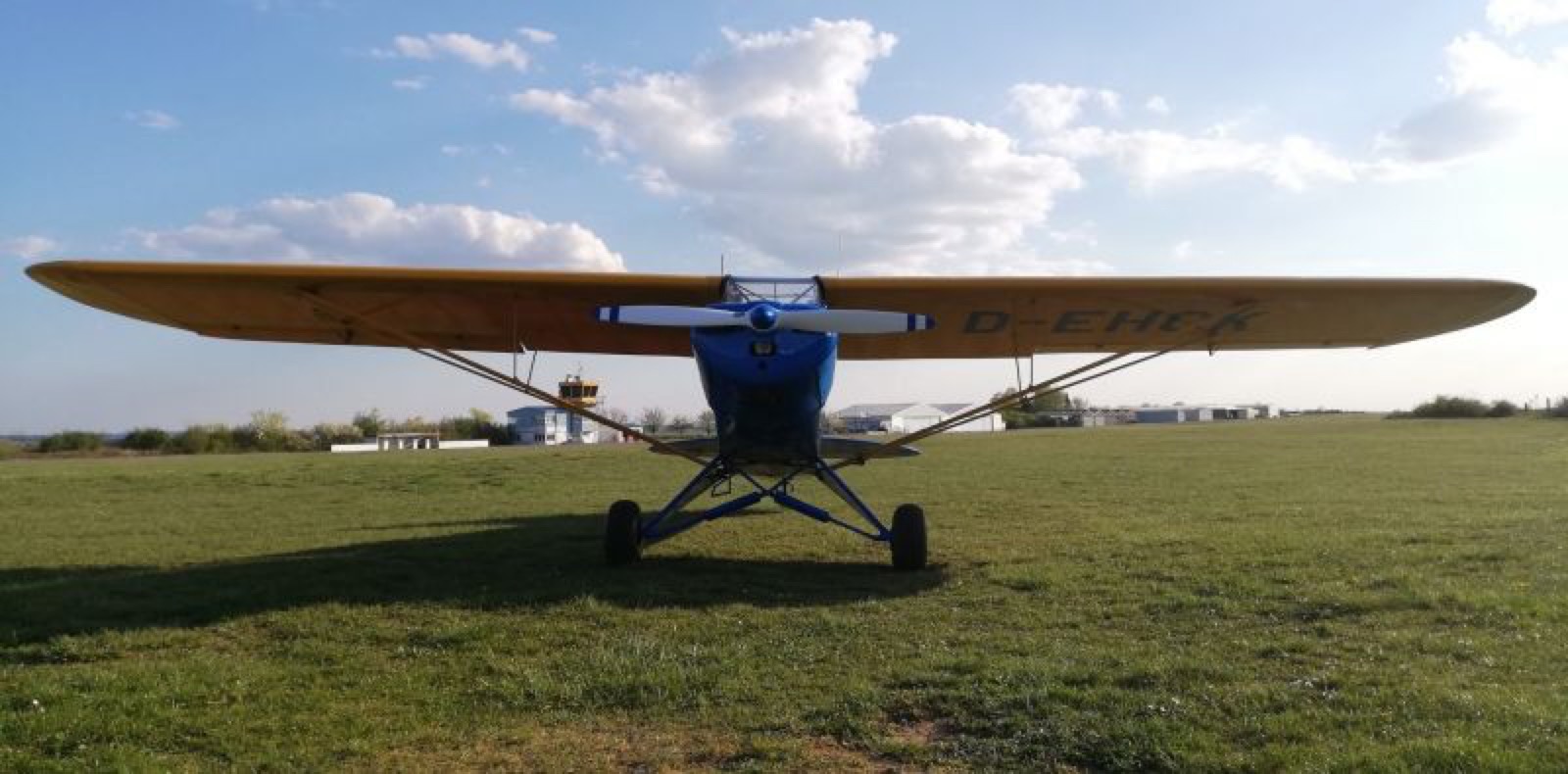 Historisches Flugzeug auf dem Gras